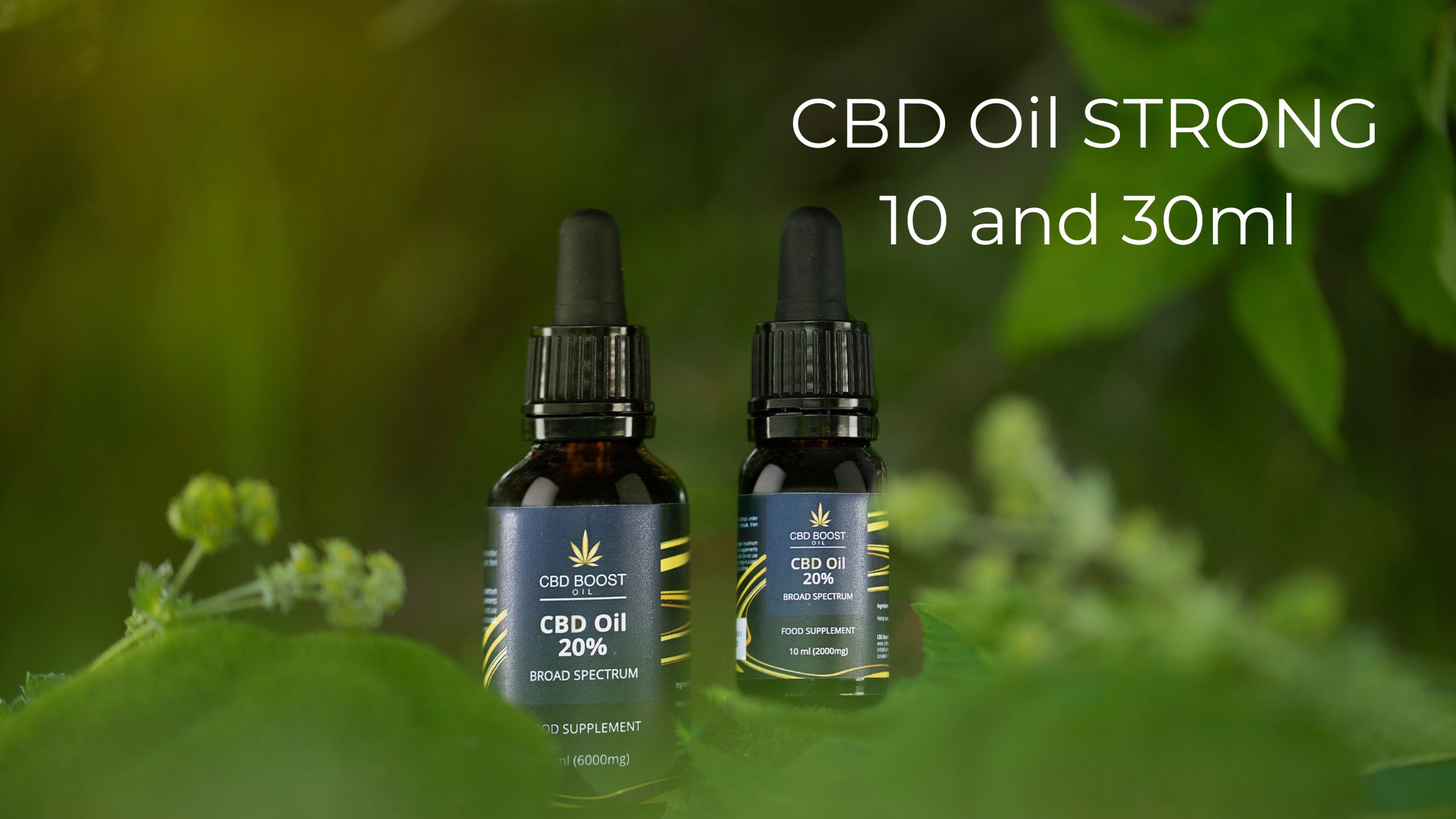 CBD Oil Strong