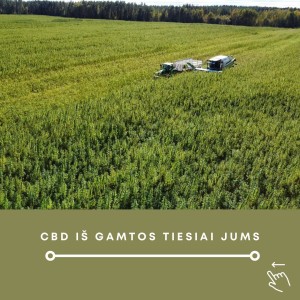 CBD tai lašelis gamtos magijos jūsų savijautai!🪄🌱Pajusk gamtos galią!💚
- Įsigyti galite www.cbdboostoil.com
- Šiuo metu taikoma 30% nuolaida#cbd #oil #strong #light #broadspectrum #fullspectrum #co2extraction #gmp #sertified #cbdhealth #hemp #product #natural #healthylifestyle #lithuania #agriculture